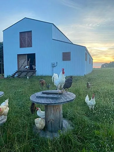 Barkley Farm photo 3